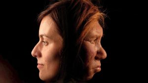 Neanderthaler en normale vrouw, wat als de neanderthaler niet was uitgestorven?