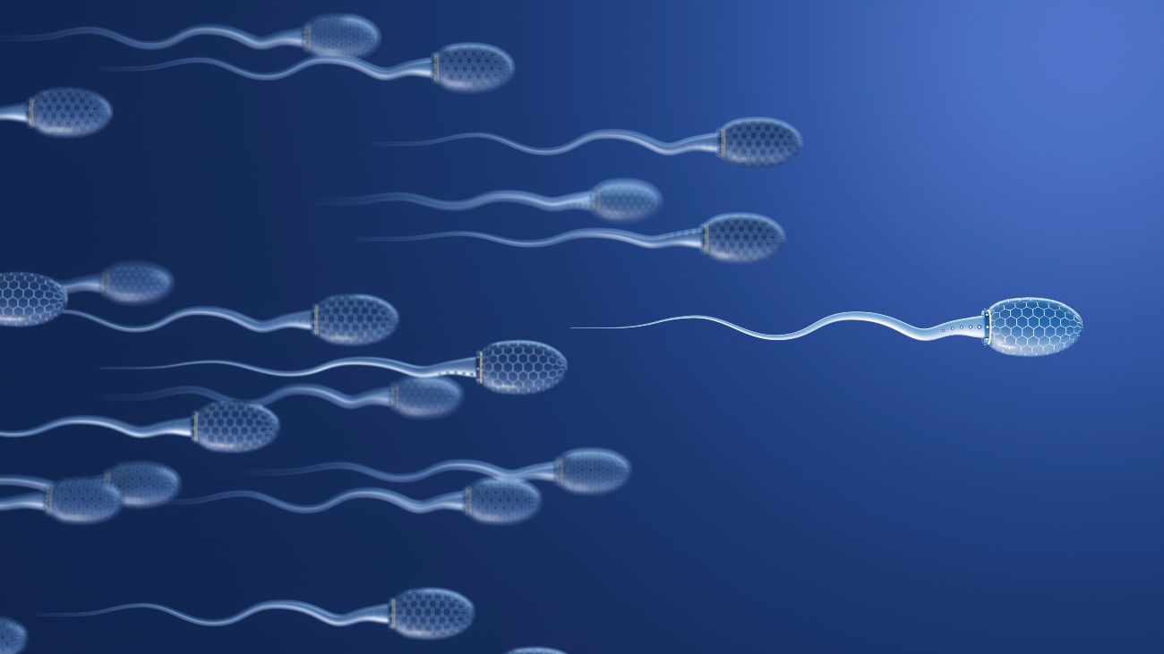 Zwemmende zaadcellen. De aanwezigheid van microplastics verlaagt mogelijk de hoeveelheid zaadcellen in sperma.