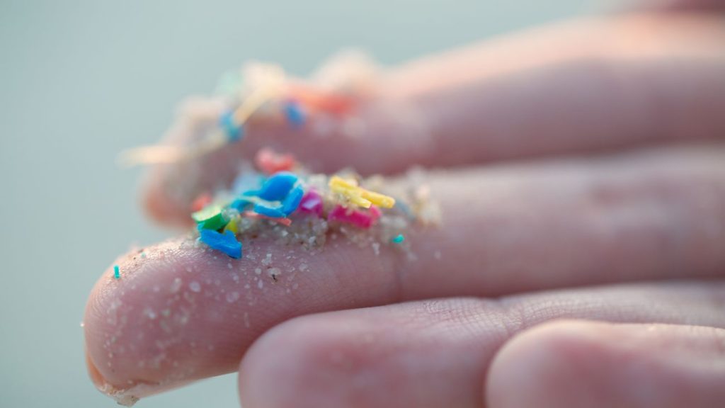 Microplastic op hand, het is ook in het bloed en de hersenen aangetroffen