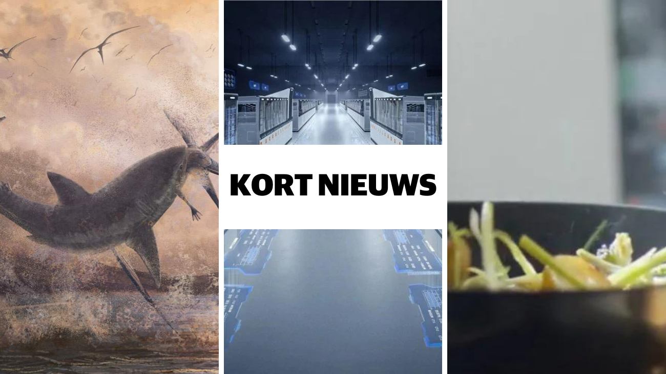 Kort nieuws mensloze fabriek