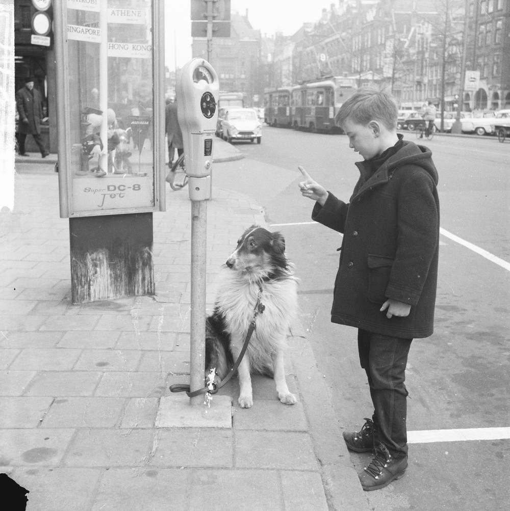 March 19, 1964: An Amsterdam boy ties his dog to a new parking meter.
