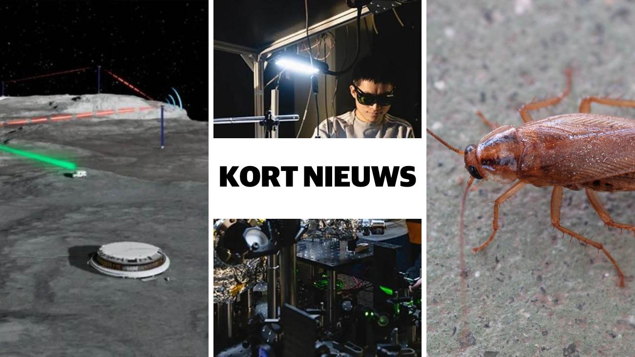 Kort nieuws kakkerlakspray