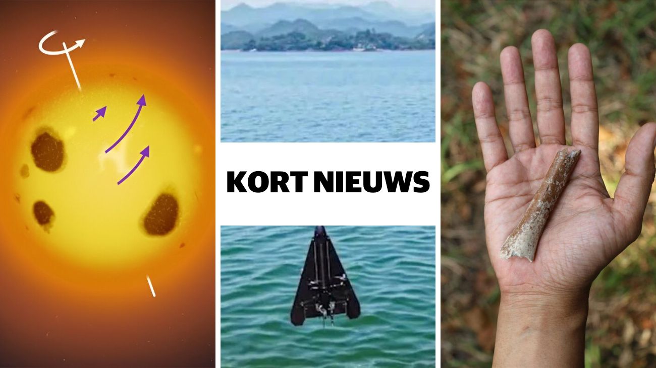 Kort nieuws ster