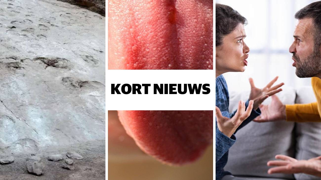 Kort nieuws tong