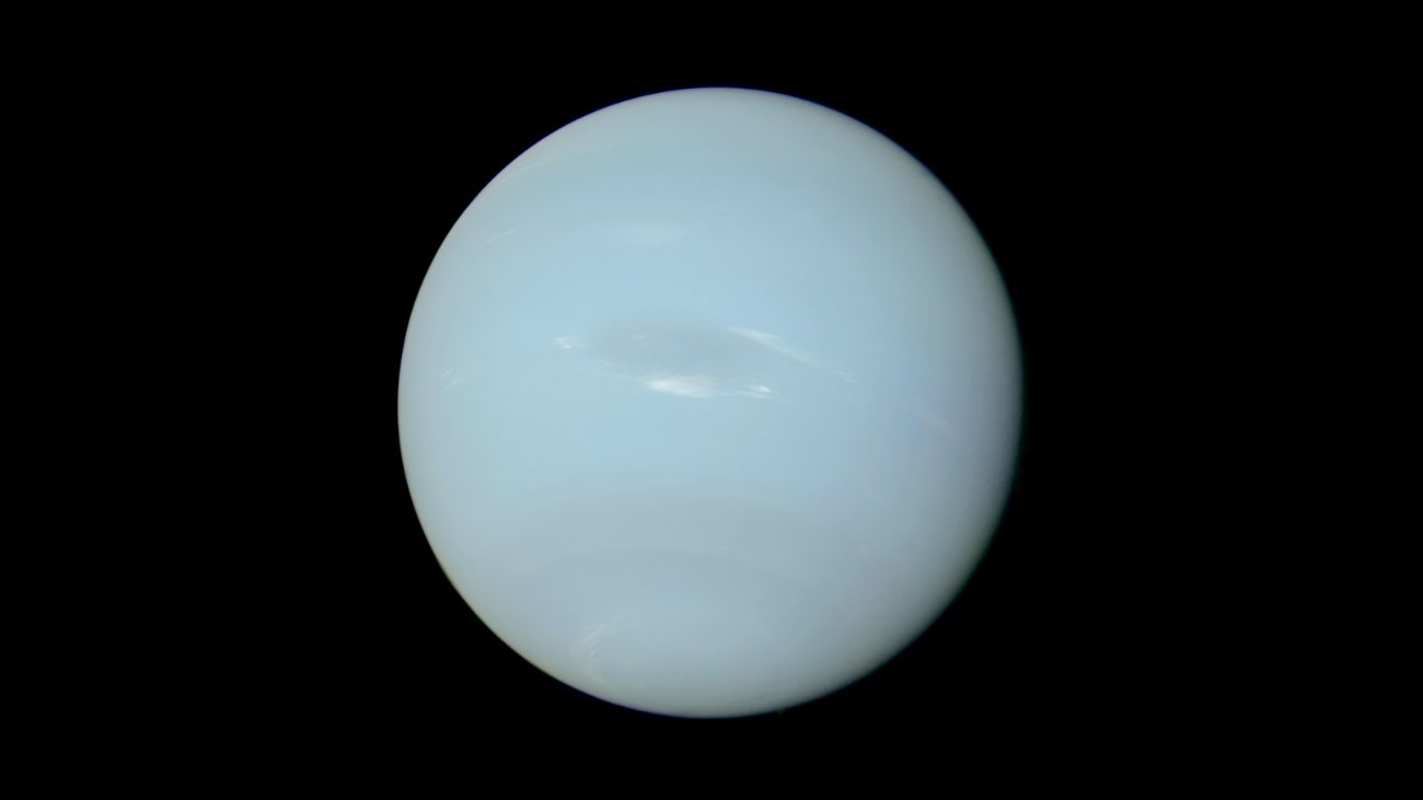 Neptunus