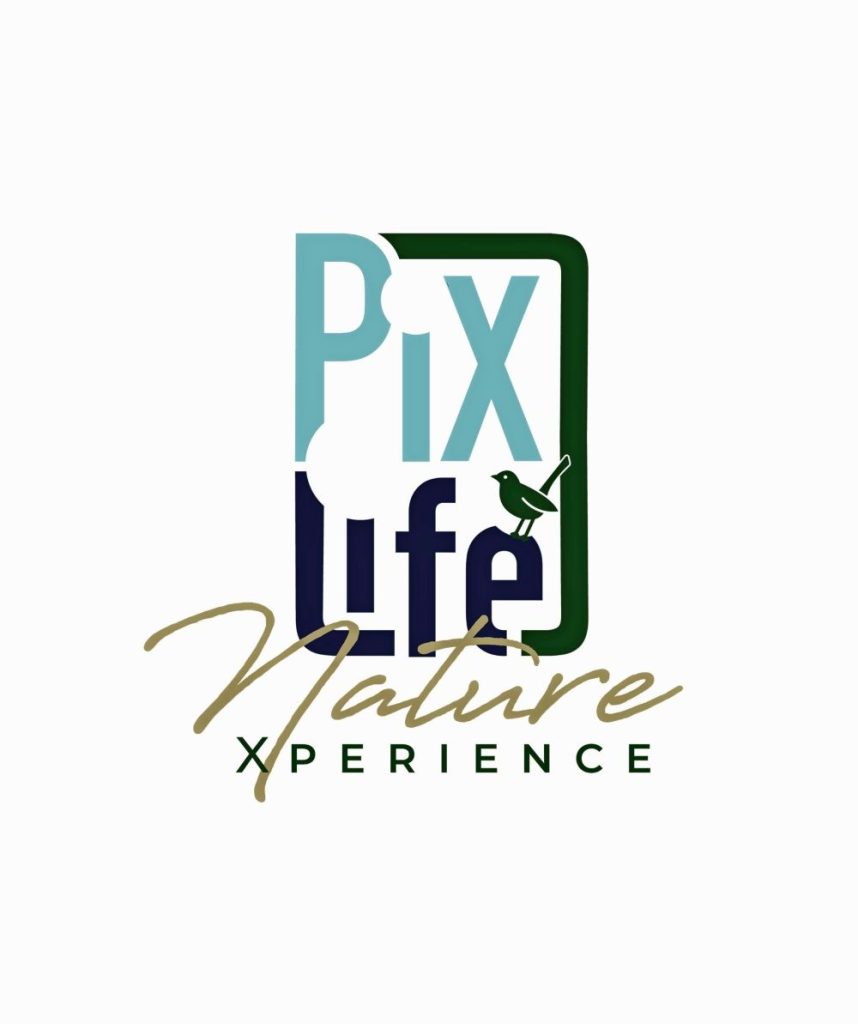 PiXlife Nature Xperience