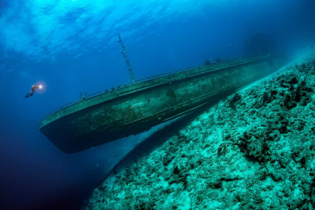 Duiker zwemt in oceaan naar scheepswrak 