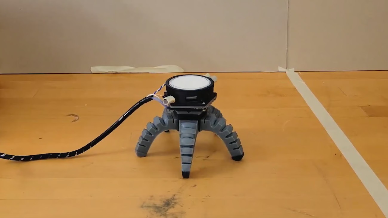 Deze zeestervormige robot wordt aangestuurd door een schimmel.