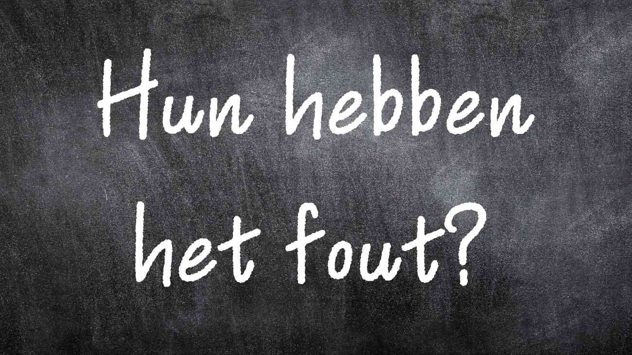 De zin 'Hun hebben het fout' op een krijtbord