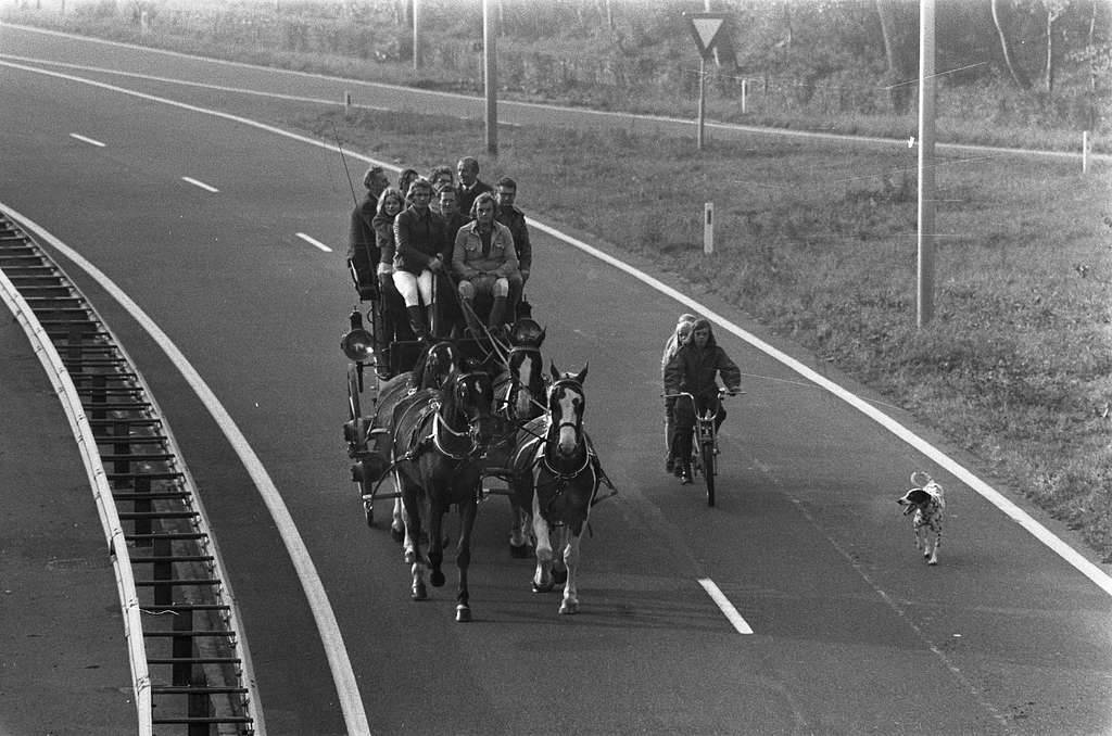 Een groep maakt met een koets een ritje over de autoweg.