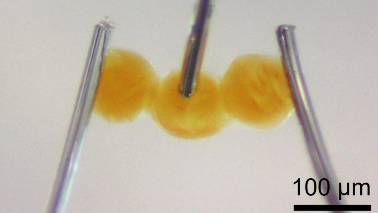 Een 'druppeltronische' transistor