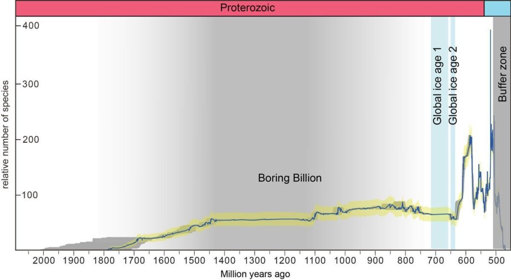 chart of life