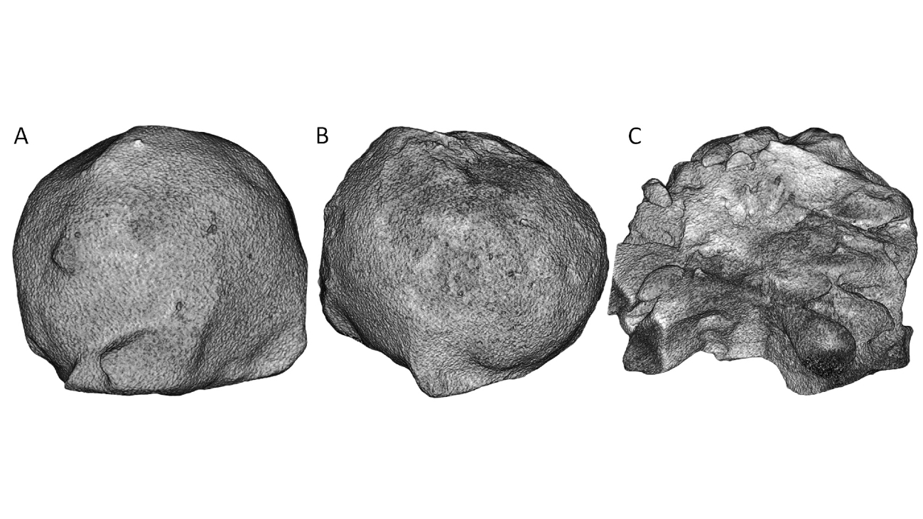 CT-scans van reusachtige hagelstenen