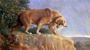 smilodon met sabeltanden